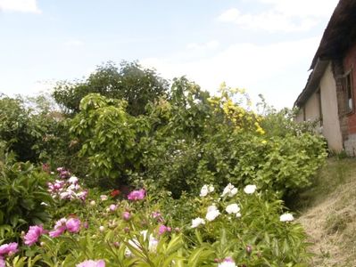 P1380730