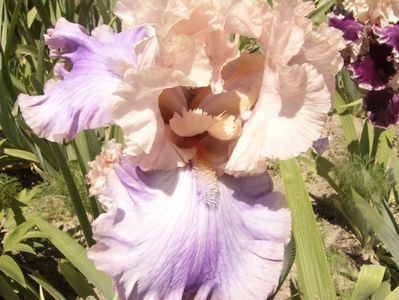P1380734