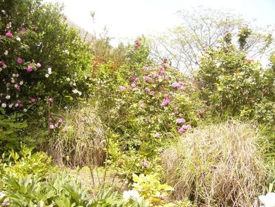 P1380760