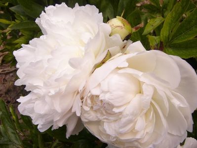 P1380762