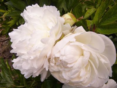 P1380763