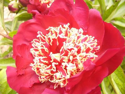 P1380765