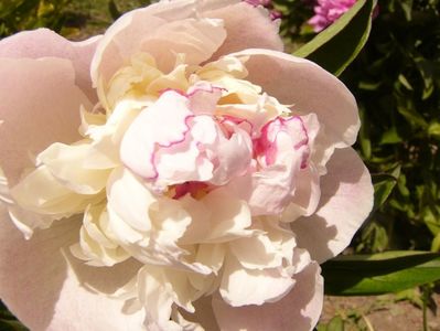 P1380769
