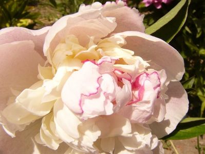 P1380770