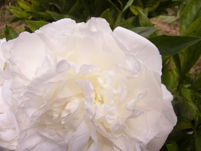 P1380774