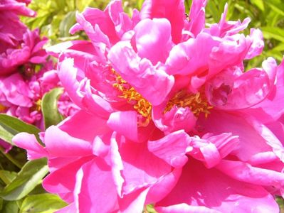 P1380778