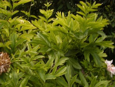 P1380780