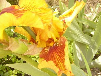 P1380794