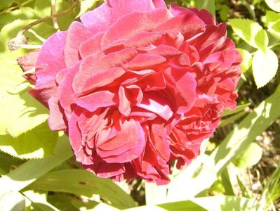 P1380796