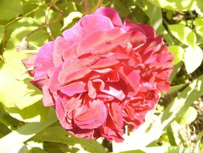 P1380797