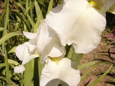 P1380800