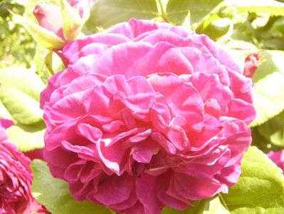 P1380801