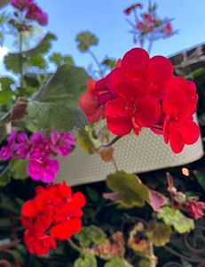 4F82574B-A9B8-4976-9554-5B7EF79EE759