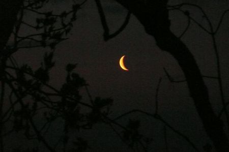Luna in scadere in Pesti; 26 apr. 2022
