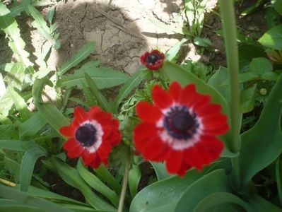 P1510639