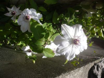 P1510643