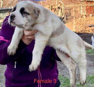 1710FFB1-F409-4195-AB07-49B248D88380