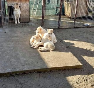 F4FF8430-CBA8-47DA-BDFE-99B5F0F13093