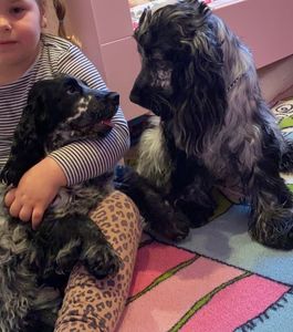 61E61B5D-E34E-4131-9C9B-8C98D9DFC18B