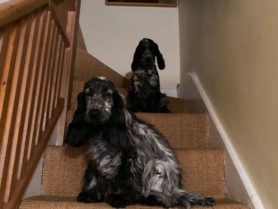 0D8E86EC-8B40-41F4-83BF-74CD3103F657