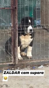 16F29F84-7795-452C-B159-7B961EB53A02