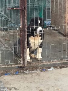 45BFC938-A475-43C1-BA6B-92C33F6F991A