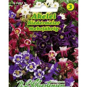 caldarusa-aquilegia-biedermeier-mix-multicolor_1; Soi recunoscut pentru utilizarea sa în arhitectură și artă, datorită eleganței și rafinamentului pe care îl înfățișează. Florile multicolore (roz, violet și albastru), au forma unor clopoței, care împ
