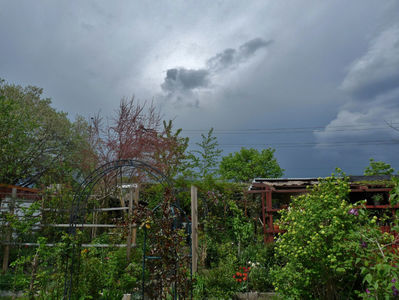 A venit cu piatra.; P3230390
