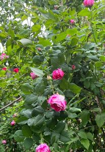 C6549039-1C9C-4CD6-B835-053BF2902DAC
