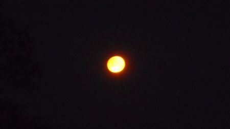Eclipsa totala de Luna in Scorpion; 16 mai 2022 - Full flower moon
