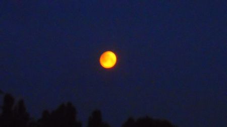 Eclipsa totala de Luna in Scorpion; 16 mai 2022 - Full flower moon
