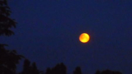 Eclipsa totala de Luna in Scorpion; 16 mai 2022 - Full flower moon
