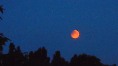 Eclipsa totala de Luna in Scorpion; 16 mai 2022 - Full flower moon
