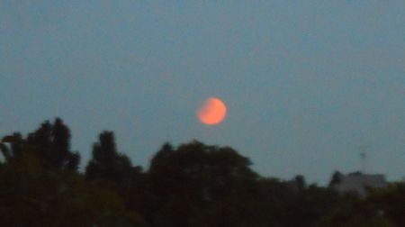 Eclipsa totala de Luna in Scorpion; 16 mai 2022 - Full flower moon
