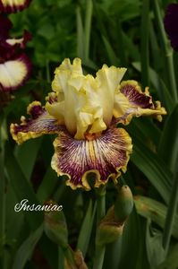 AddText_05-29-12.08.50