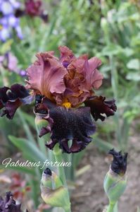 AddText_05-23-05.57.41
