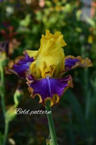 AddText_05-21-11.28.30