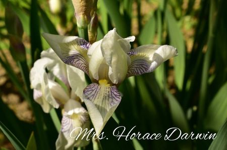 AddText_05-20-11.16.32