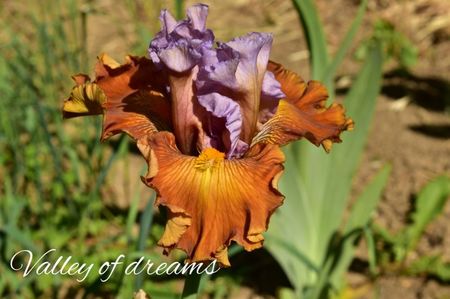 AddText_05-20-11.17.40