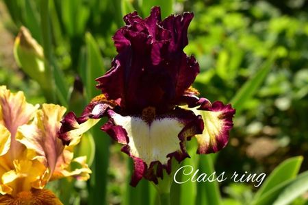 AddText_05-20-11.22.32