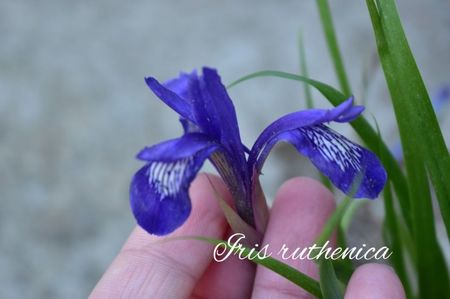 AddText_05-18-08.16.13