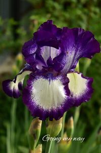 AddText_05-18-08.42.55