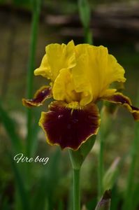 AddText_05-18-08.40.32