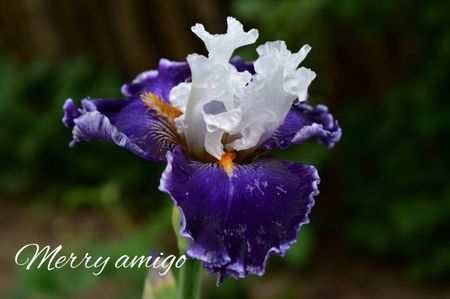 AddText_05-18-08.39.44