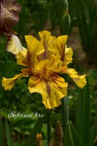 AddText_05-17-02.20.38