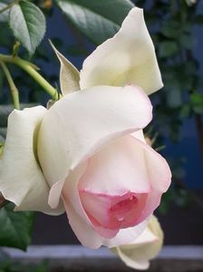 20220530_170750(0)