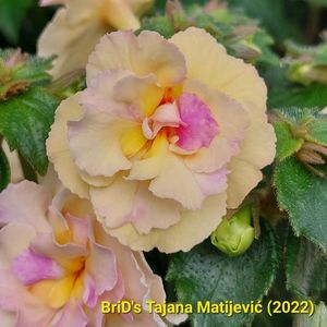 Img-2022.05.31