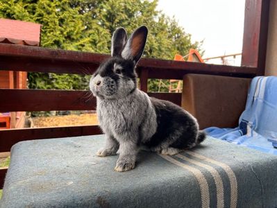 F7553AB4-A572-407F-9768-CBB40315C741