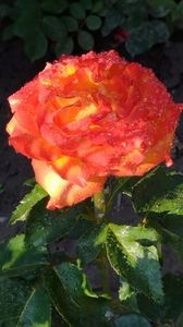 IMG-20220607-WA0036; Indagra
