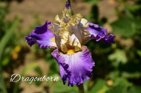 AddText_06-05-09.28.20